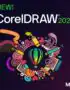 CorelDRAW Graphics Suite 2024 for 1 MAC | Lifetime