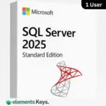 SQL Server 2025 Standard License 1 User – Lifetime