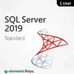 SQL Server 2019 Standard License 1 User – Lifetime