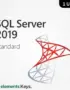 SQL Server 2019 Standard License 1 User – Lifetime