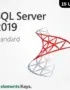SQL Server 2019 Standard License 15 User – Lifetime