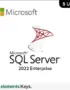 SQL Server 2022 Enterprise License 5 User – Lifetime