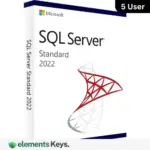 SQL Server 2022 Standard License 5 User – Lifetime