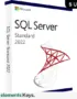 SQL Server 2022 Standard License 5 User – Lifetime