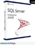 SQL Server 2025 Enterprise License 1 User – Lifetime