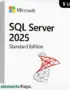 SQL Server 2025 Standard License 5 User – Lifetime