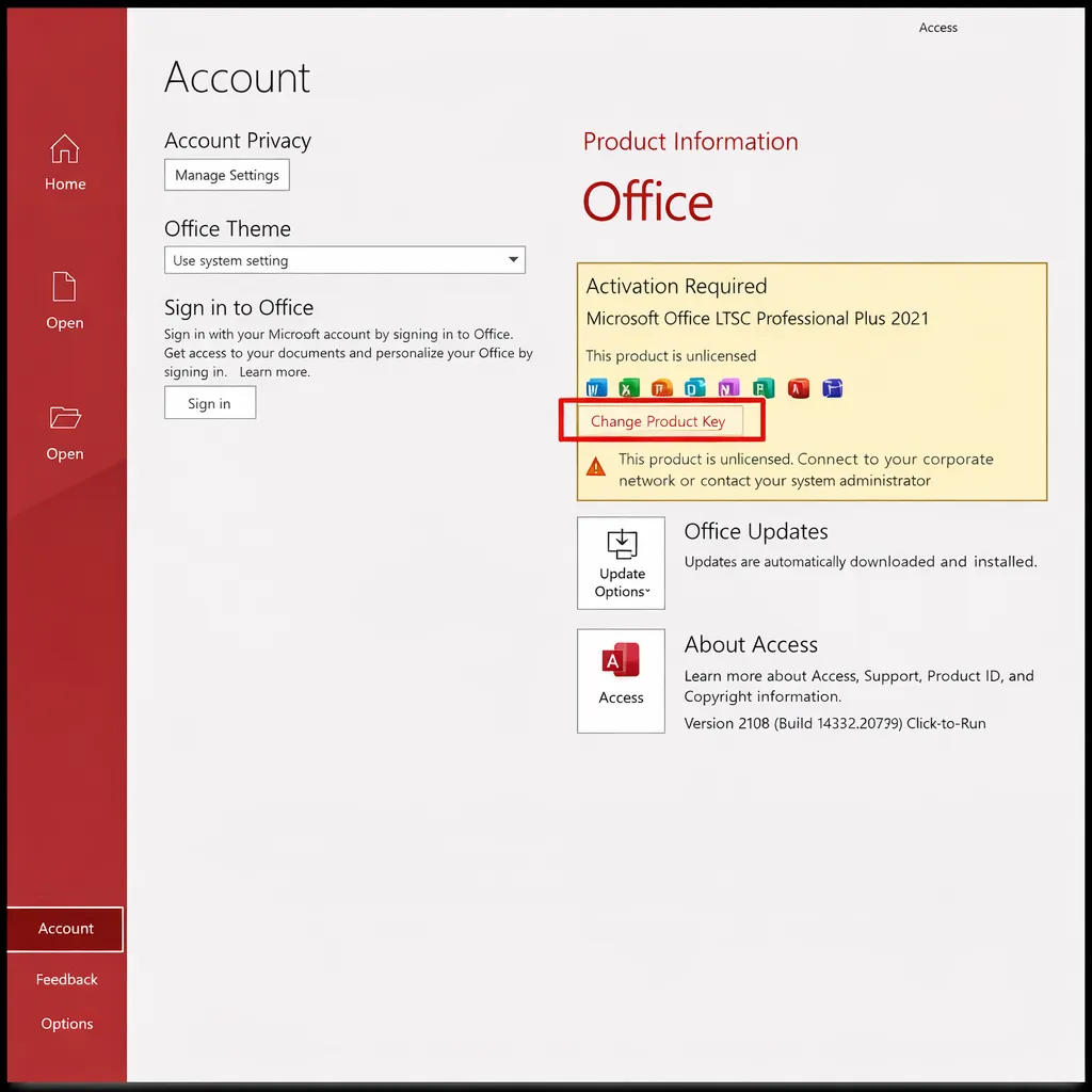 Office 2024/2021 LTSC Professional Plus Key Activation Guide