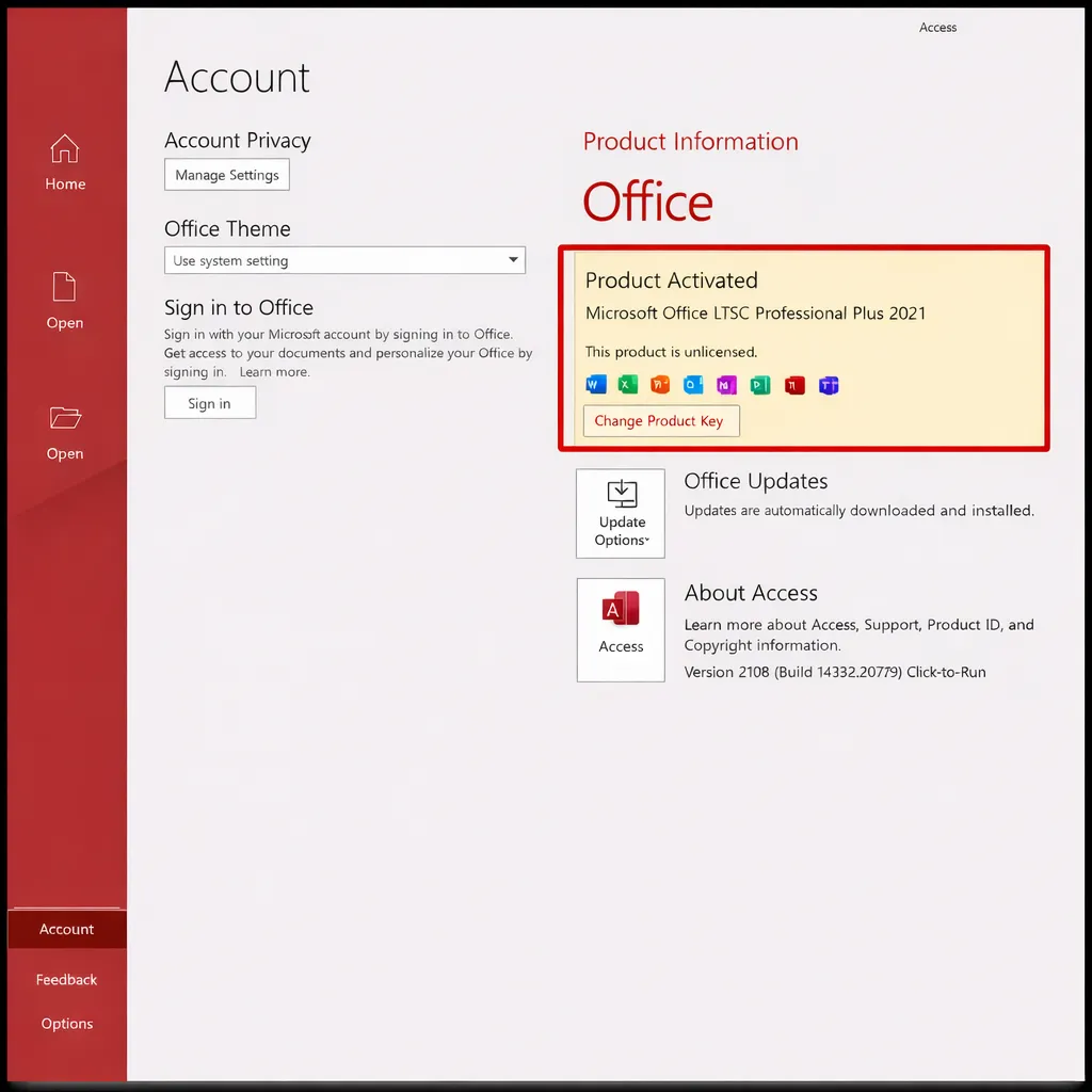 Office 2024/2021 LTSC Professional Plus Key Activation Guide